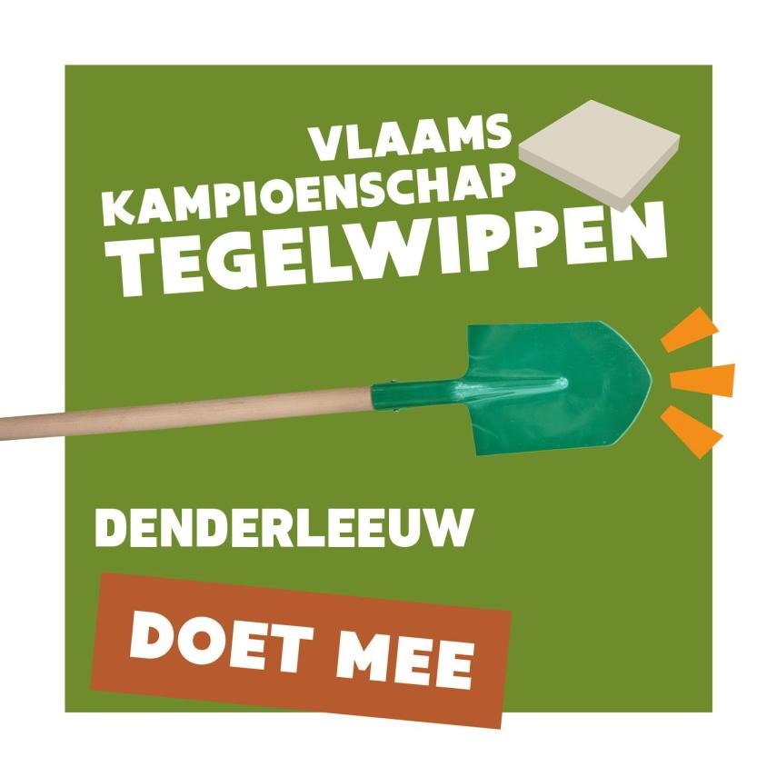 Maak gebruik van de onthardingspremie en doe mee met het Vlaams Kampioenschap Tegelwippen